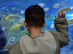 -太奥幻太奇海洋馆