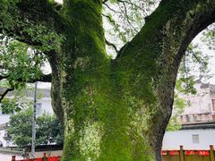 -新安江山水画廊风景区