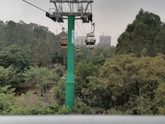 -广州长隆野生动物世界