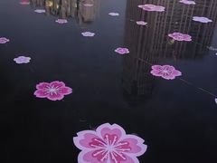 -西北湖绿化广场