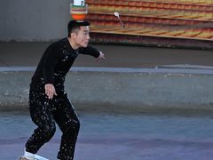 -石家庄市动物园