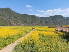 -新安江山水画廊风景区