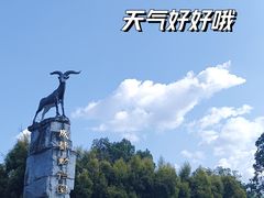-成都动物园