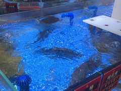 -皮记海鲜1995(寮步店)