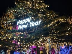 -金狮国际酒店自助餐(金狮店)