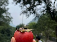 -黄公望隐居地