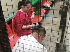 -猫咪博物馆(顶澳仔猫街店)