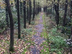 -山王坪喀斯特国家生态公园