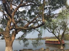 -西湖外事游船(花港观鱼码头)