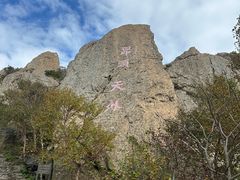 -白草畔自然风景区