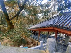 -岳麓山风景名胜区