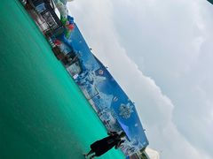 -苏州湾梦幻水世界