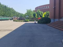 -天津市南开中学滨海生态城学校