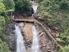 -广州白江湖森林公园