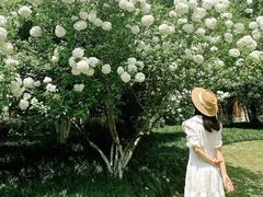 -杭州城北体育公园