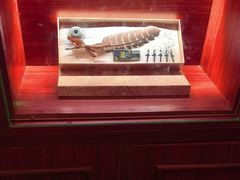 -逃脱反斗城沉浸剧情密室(北京路店)