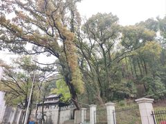 -洪崖丹井
