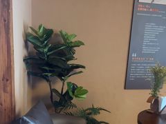 -端艾堂·SPA·艾灸(棕榈泉013店)