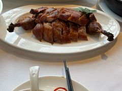 -圆苑(金茂店)