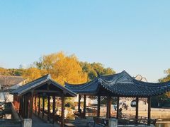-天一阁博物院