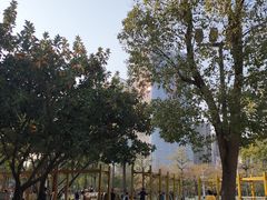 -文华公园(禅城区)
