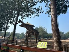 -大连森林动物园