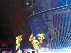 -珠海横琴长隆《卡卡虎奇遇记》