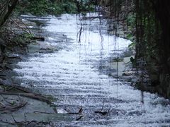 -燕晗山郊野公园