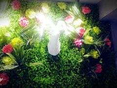 -九府羊·鲜羊火锅·烤串(新华路店)