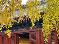 -承恩寺