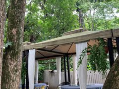 -野蔓果·山野菜(西湖景区·龙井茶田店)