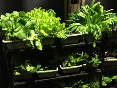 -旅马餐厅(茅家埠店)