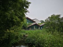 -西湖风景区-江洋畈生态公园