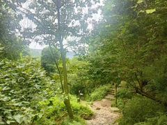 -九龙潭景区