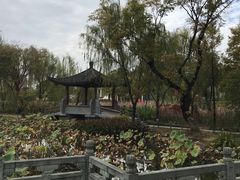 -武汉园博园(武汉自然博物馆)