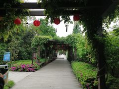 -白马涧龙池景区