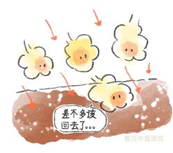 -雅曼妮spa美容养生
