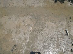 -北海金海湾红树林生态旅游区