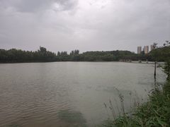 -昆山城市生态森林公园