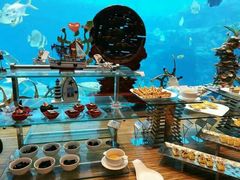 -瑞德姆美人鱼海底演艺主题餐厅(亚龙湾店)