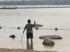 -暨阳湖生态园