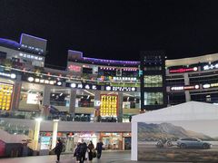 -浦江城市生活广场(江月路店)