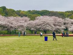 -苏州上方山国家森林公园