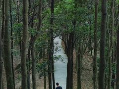 -阳台山森林公园