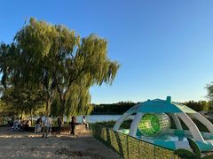 -大兴滨河森林公园