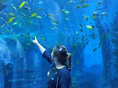 -波塞冬旅游度假区