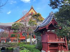 -浅草寺