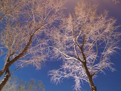 -人民防洪胜利纪念塔