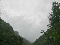 -阳台山自然风景区