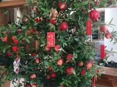 -呷哺呷哺 黄金牧场 (大港油田幸福广场店)